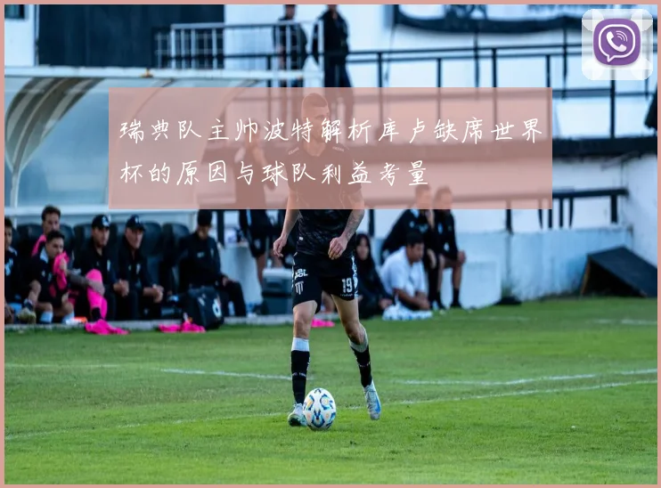 瑞典队主帅波特解析库卢缺席世界杯的原因与球队利益考量